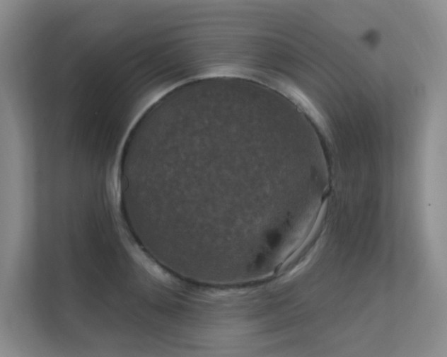 X0000112020892200908101359