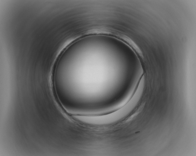 X0000112020893200908101359