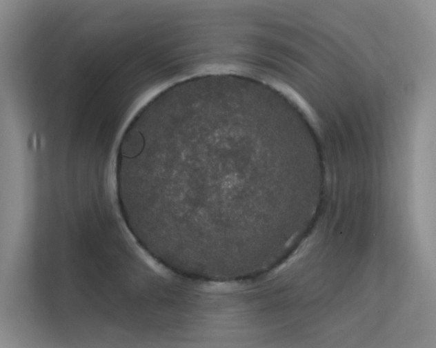 X0000112020894200908101359