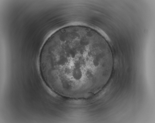 X0000112020895200908101359