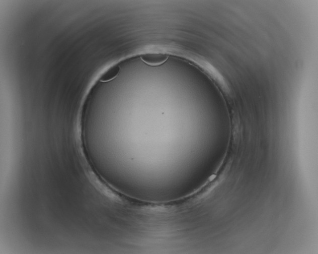 X0000112020896200908101359