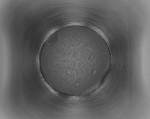 X0000112020898200908101359