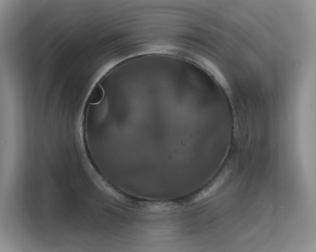 X0000112020899200908101359