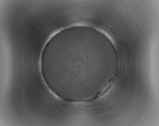 X0000112020902200908101359