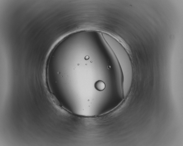 X0000112020904200908101359