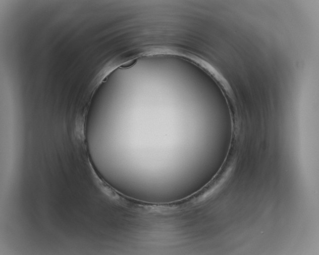 X0000112020905200908101359