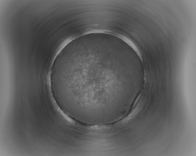 X0000112020906200908101359