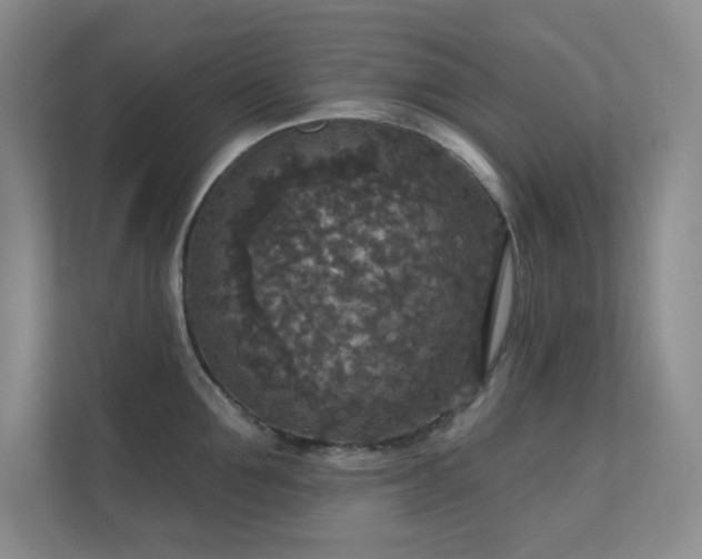 X0000112020907200908101359