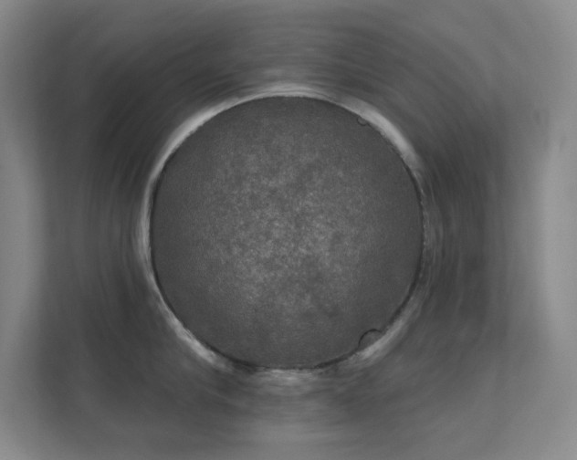 X0000112020910200908101359