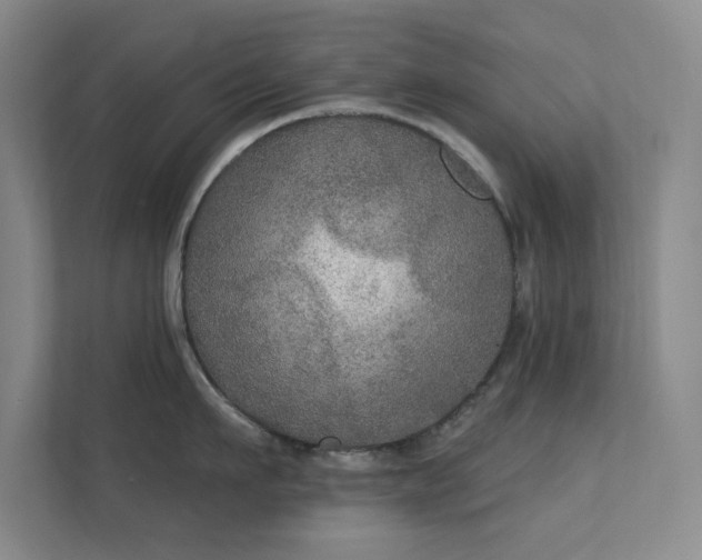 X0000112020911200908101359