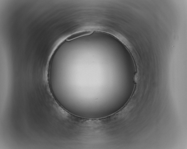 X0000112020912200908101359