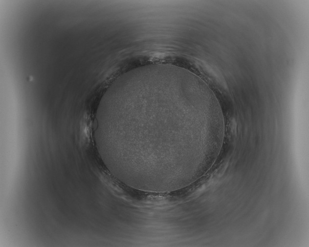 X0000112020914200908101359