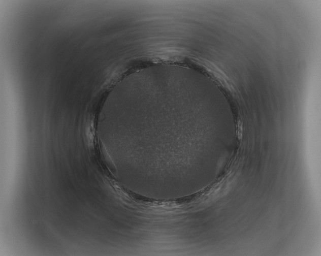 X0000112020915200908101359