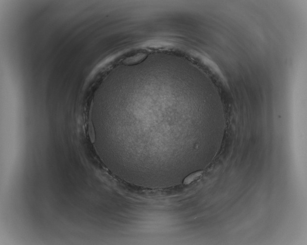 X0000112020920200908101359