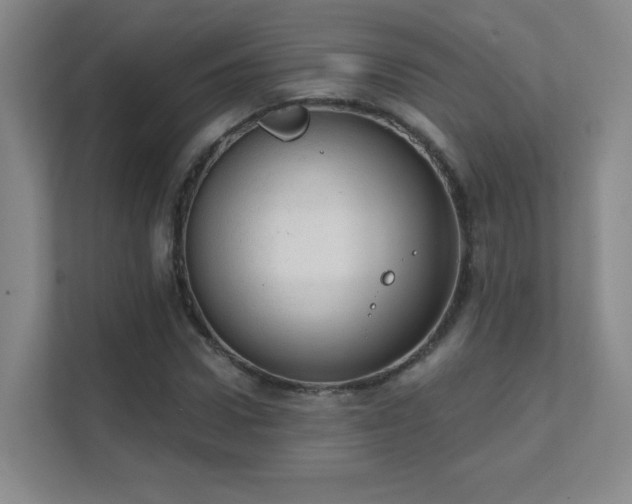 X0000112020922200908101359