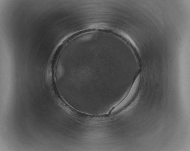 X0000112020923200908101359