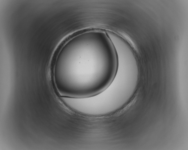 X0000112020924200908101359