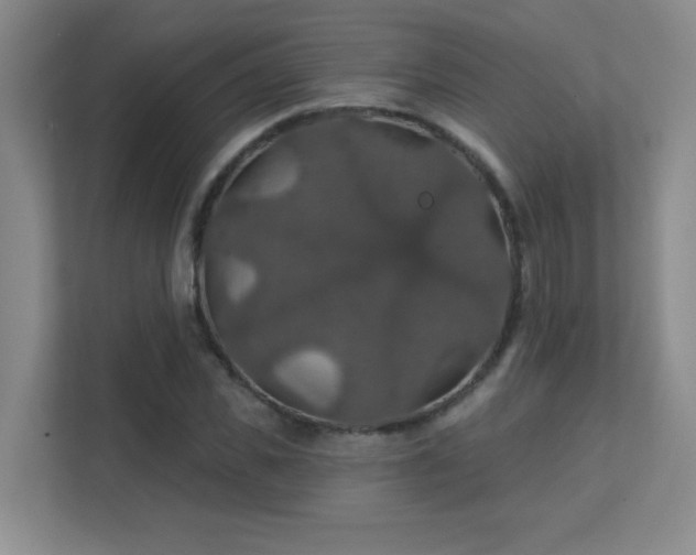 X0000112020925200908101359