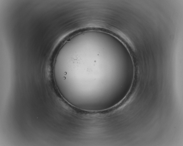 X0000112020926200908101359