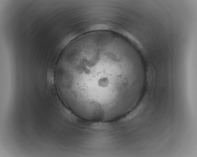 X0000112020929200908101359