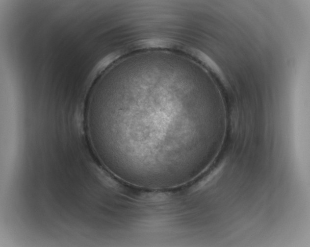 X0000112020930200908101359