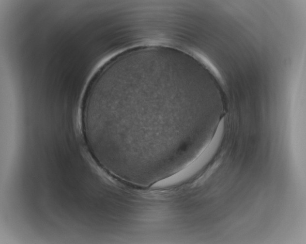 X0000112020932200908101359