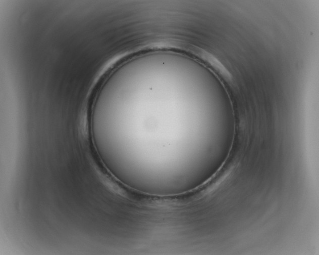 X0000112020934200908101359