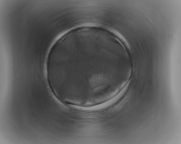 X0000112020935200908101359