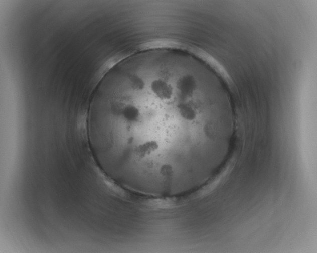 X0000112020937200908101359