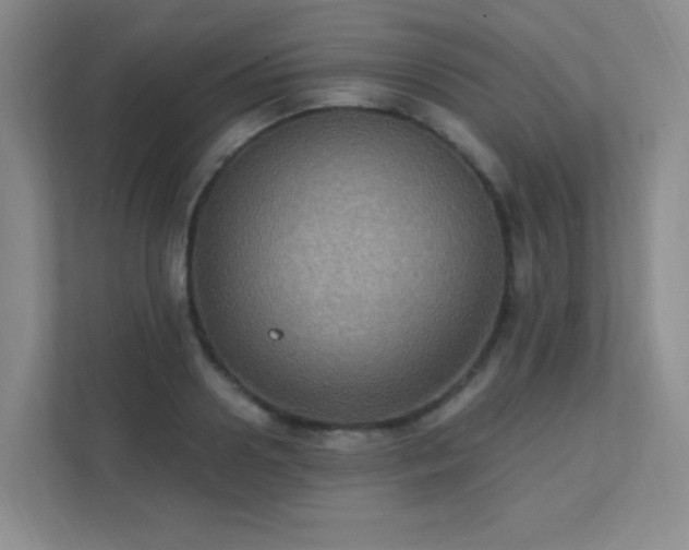 X0000112020938200908101359