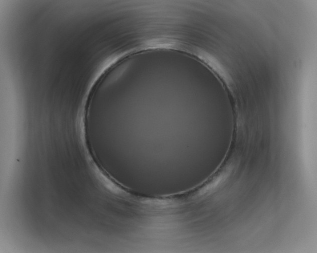 X0000112020941200908101359