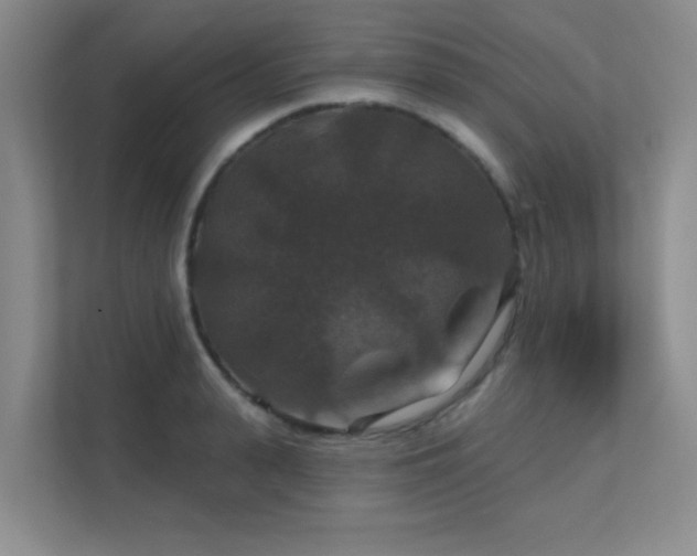 X0000112020943200908101359