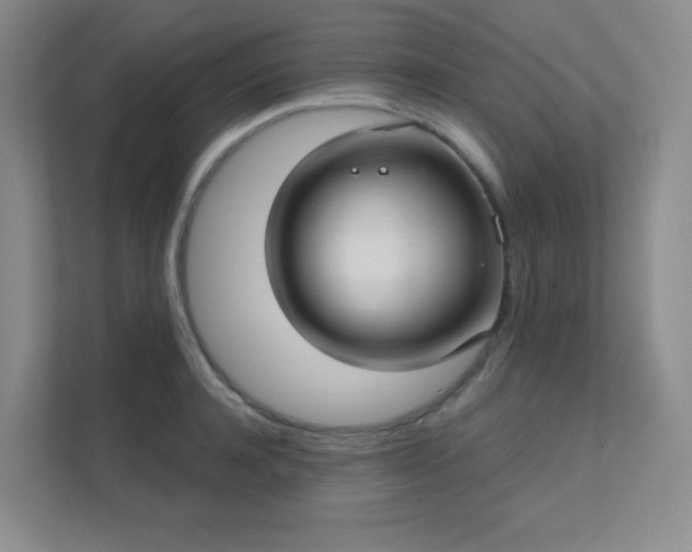 X0000112020944200908101359