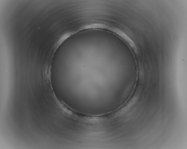 X0000112020945200908101359