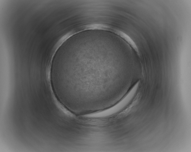 X0000112020946200908101359