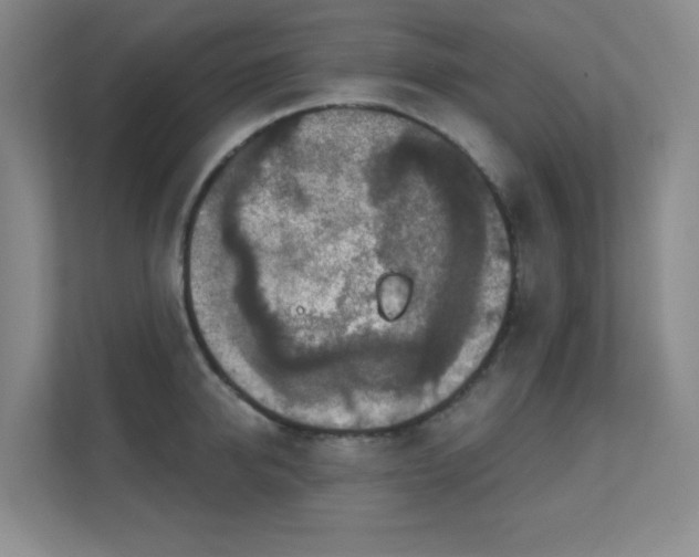 X0000112020950200908101359