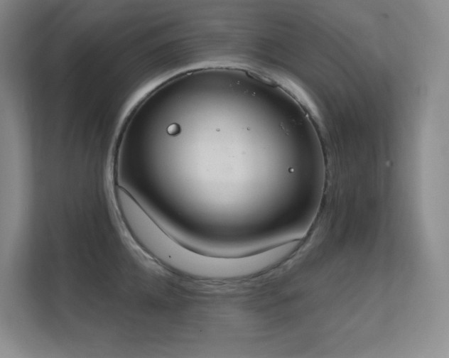 X0000112020952200908101359