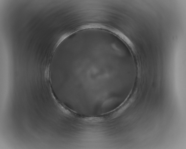 X0000112020953200908101359