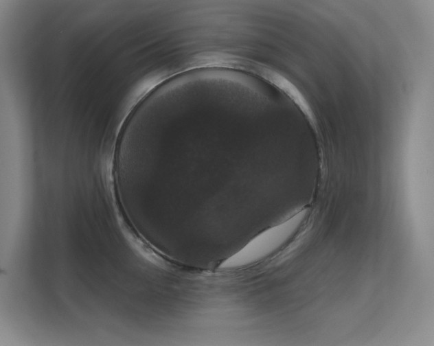 X0000112020954200908101359