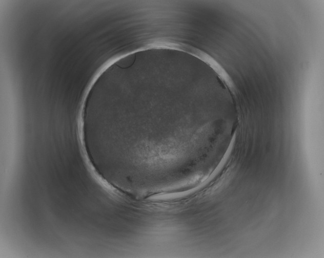 X0000112020955200908101359