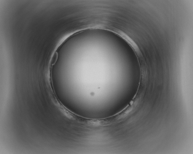 X0000112020956200908101359