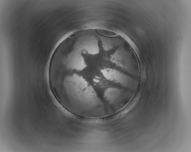 X0000112020957200908101359