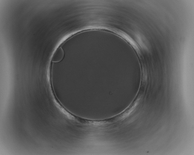 X0000112020958200908101359