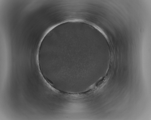 X0000112020959200908101359