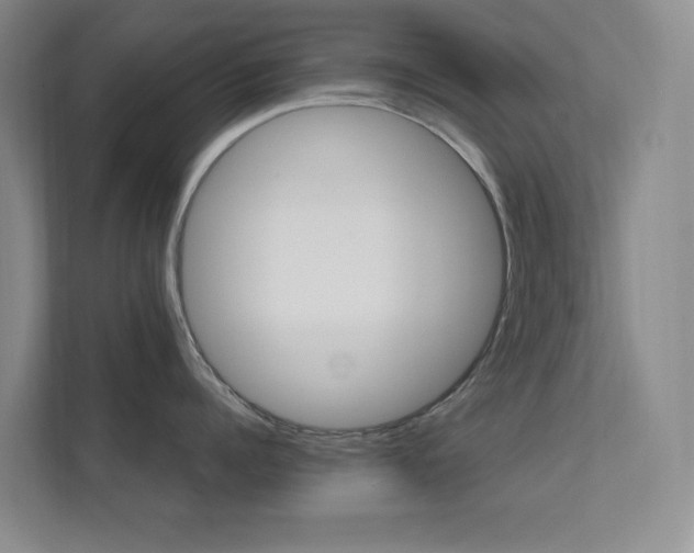 X0000112020960200908101359