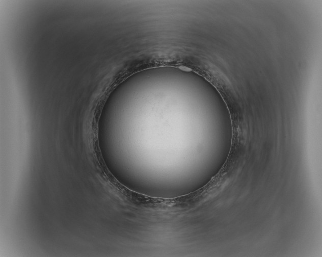 X0000112020961200908101359