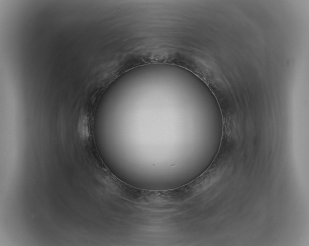 X0000112020962200908101359