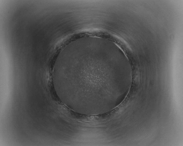 X0000112020966200908101359