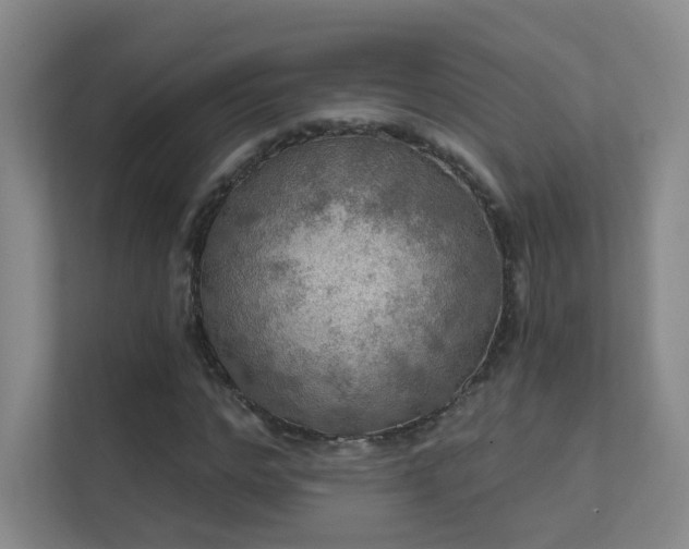 X0000112020968200908101359