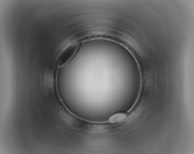 X0000112020969200908101358